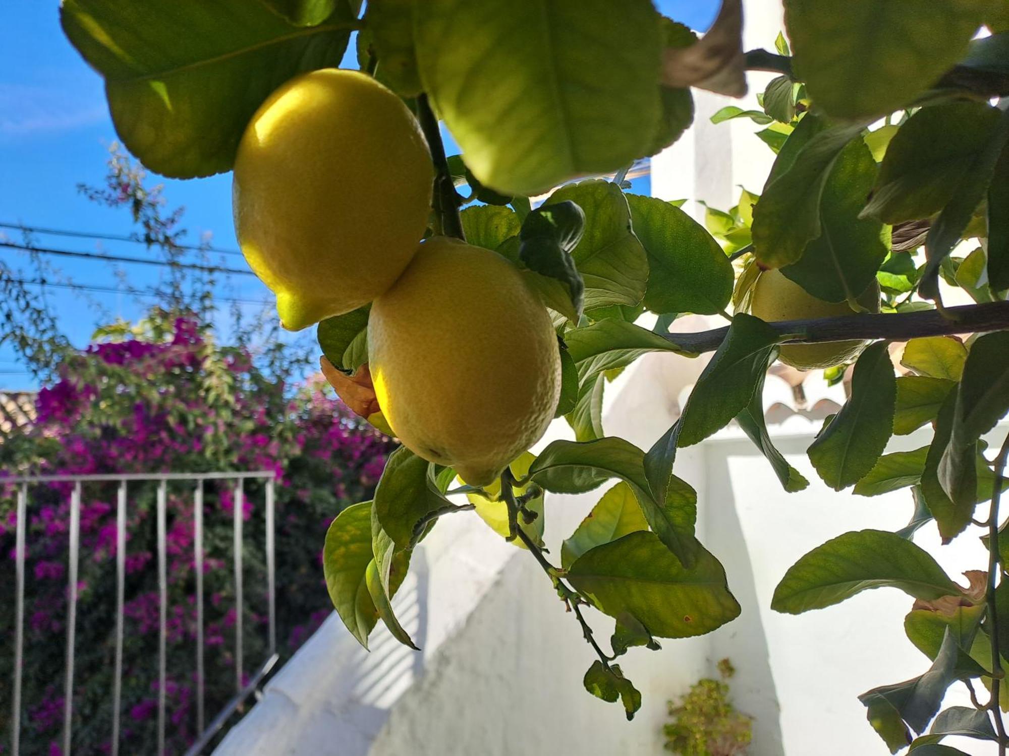 Casa Alhambra - Centro Historico Con Jardin Privado Διαμέρισμα Γρανάδα Εξωτερικό φωτογραφία