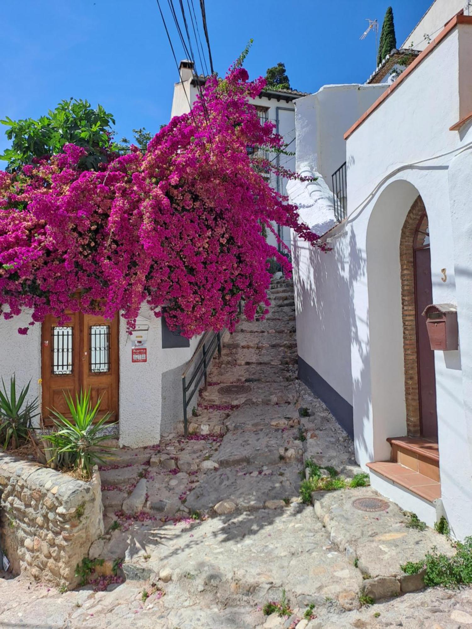 Casa Alhambra - Centro Historico Con Jardin Privado Διαμέρισμα Γρανάδα Εξωτερικό φωτογραφία
